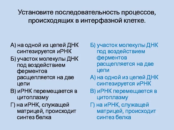 Установите последовательность процессов, происходящих в интерфазной клетке. А) на одной из цепей