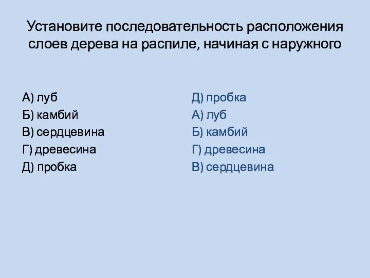 Установите последовательность расположения слоев дерева на распиле, начиная с наружного А) луб