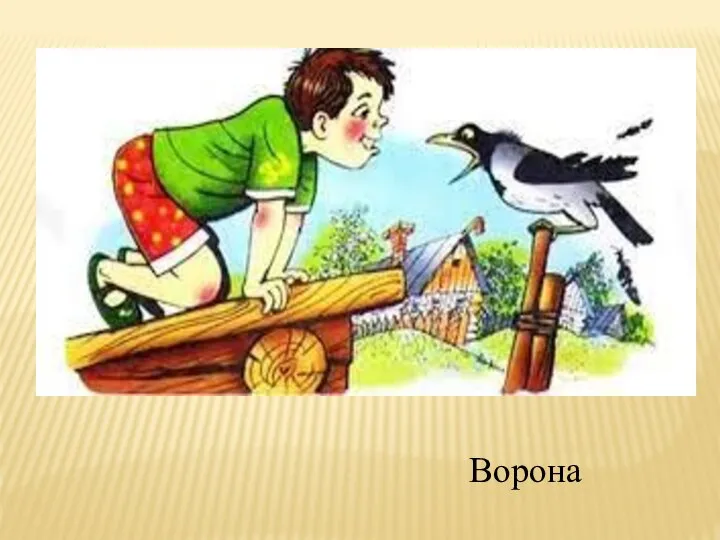 Ворона