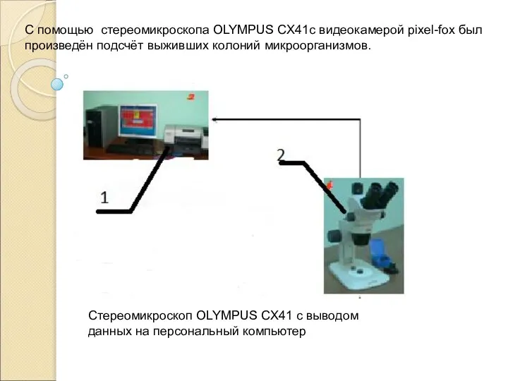 C помощью стереомикроскопа OLYMPUS СX41с видеокамерой pixel-fox был произведён подсчёт выживших колоний