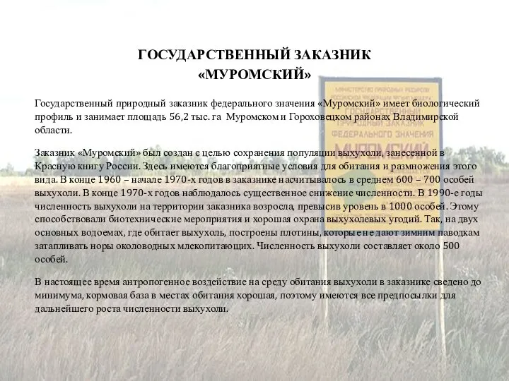 ГОСУДАРСТВЕННЫЙ ЗАКАЗНИК «МУРОМСКИЙ» Государственный природный заказник федерального значения «Муромский» имеет биологический профиль