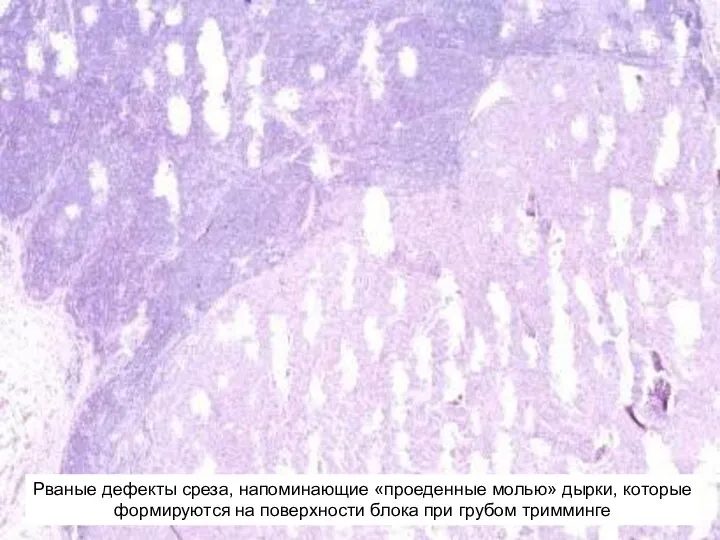 Рваные дефекты среза, напоминающие «проеденные молью» дырки, которые формируются на поверхности блока при грубом тримминге