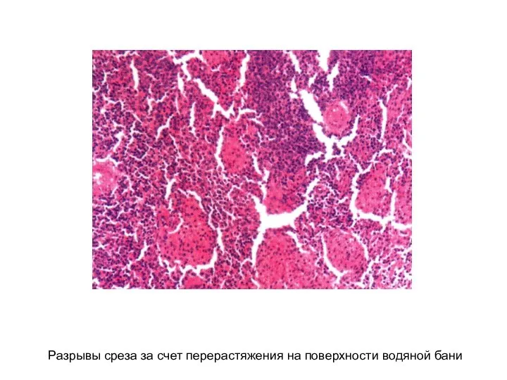 Разрывы среза за счет перерастяжения на поверхности водяной бани