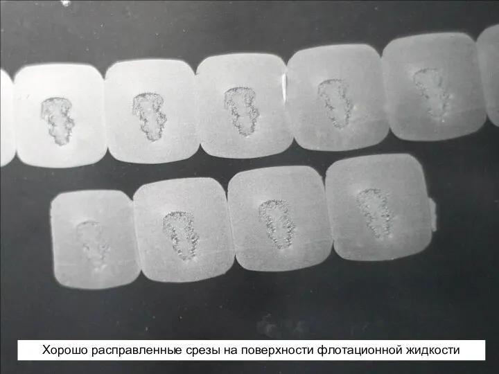 Хорошо расправленные срезы на поверхности флотационной жидкости