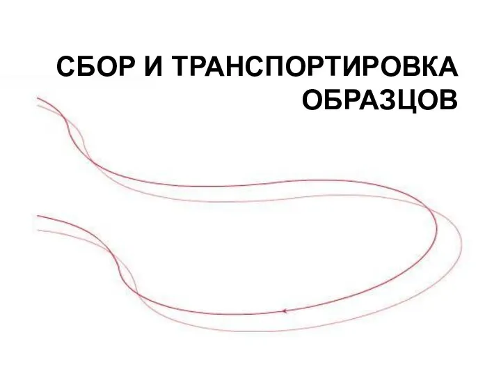 СБОР И ТРАНСПОРТИРОВКА ОБРАЗЦОВ