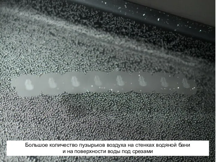 Большое количество пузырьков воздуха на стенках водяной бани и на поверхности воды под срезами