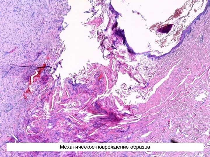Механическое повреждение образца