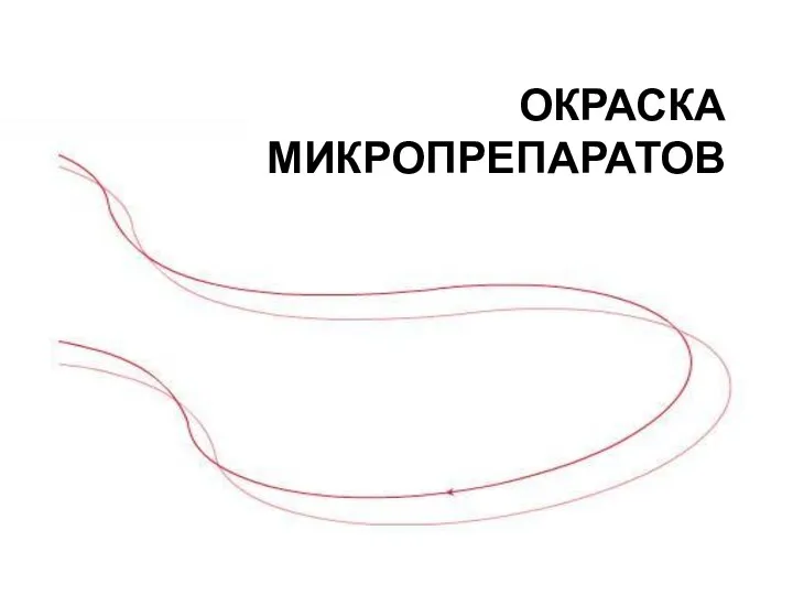 ОКРАСКА МИКРОПРЕПАРАТОВ