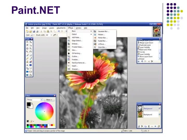 Paint.NET