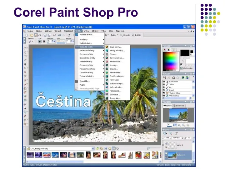 Corel Paint Shop Pro