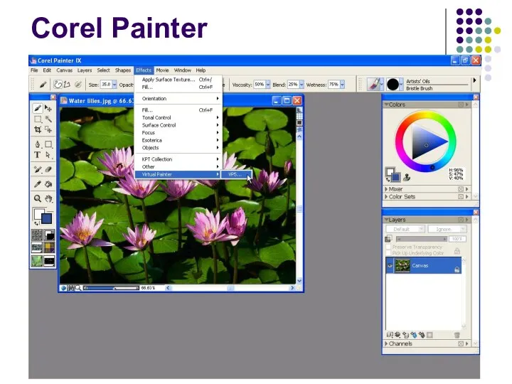 Corel Painter