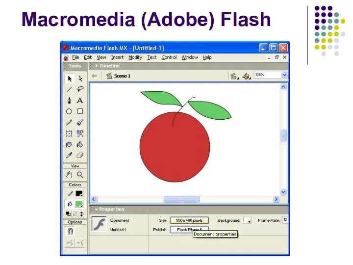 Macromedia (Adobe) Flash