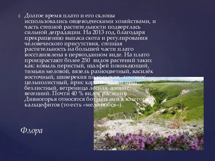 Долгое время плато и его склоны использовались овцеводческими хозяйствами, и часть степной