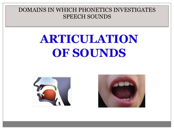 DOMAINS IN WHICH PHONETICS INVESTIGATES SPEECH SOUNDS ARTICULATION OF SOUNDS