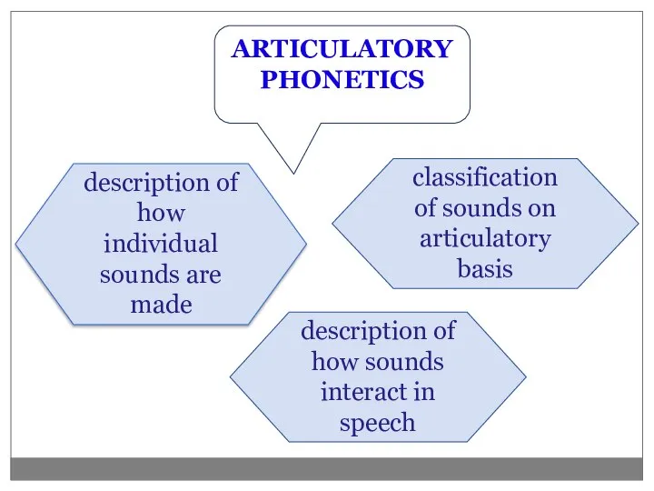 ARTICULATORY PHONETICS description of how individual sounds are made description of how