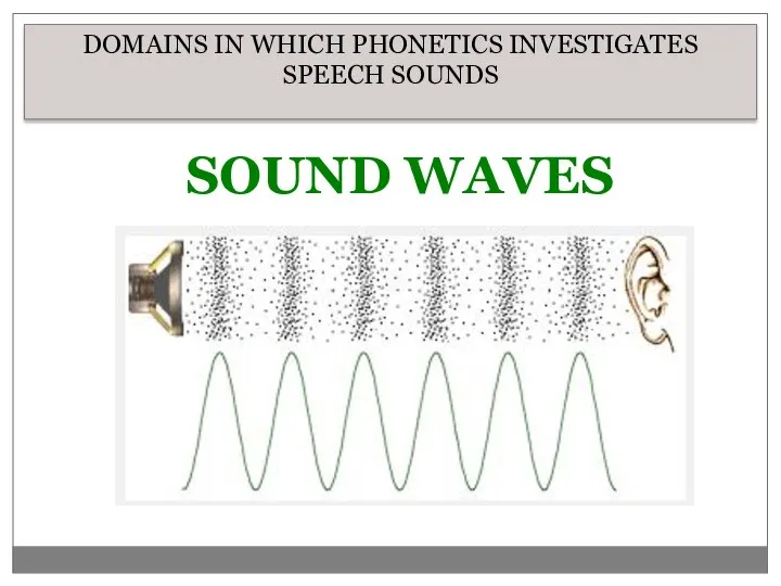 DOMAINS IN WHICH PHONETICS INVESTIGATES SPEECH SOUNDS SOUND WAVES
