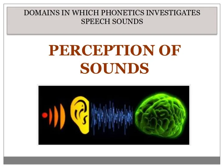 DOMAINS IN WHICH PHONETICS INVESTIGATES SPEECH SOUNDS PERCEPTION OF SOUNDS