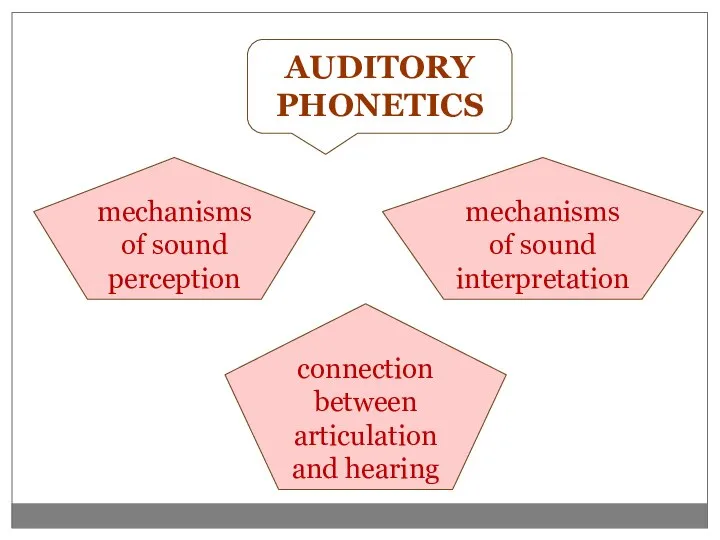 AUDITORY PHONETICS mechanisms of sound perception mechanisms of sound interpretation connection between articulation and hearing