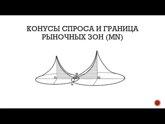 КОНУСЫ СПРОСА И ГРАНИЦА РЫНОЧНЫХ ЗОН (MN)