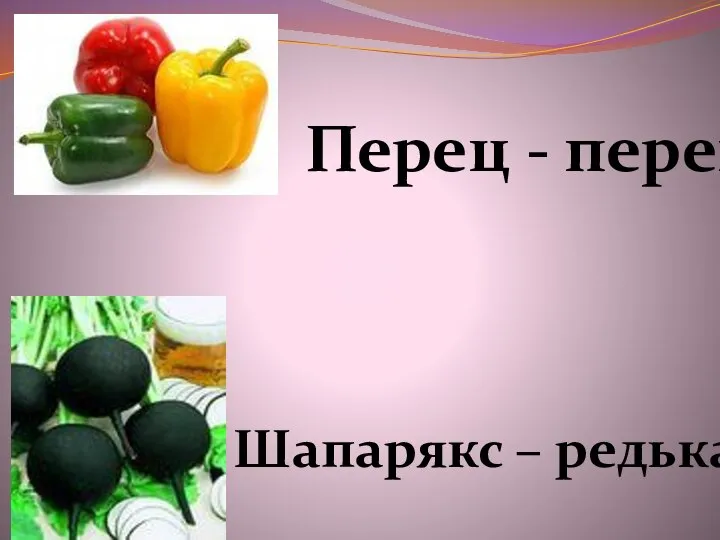 Перец - перец Шапарякс – редька черная