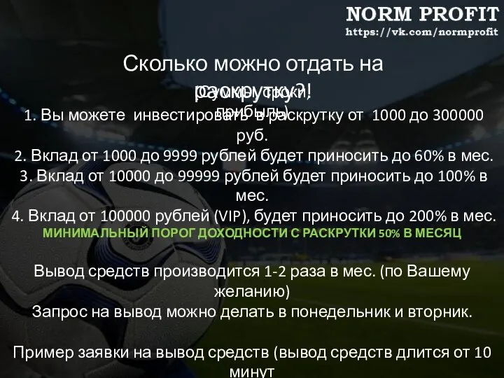 Сколько можно отдать на раскрутку?! (Суммы, сроки, прибыль) 1. Вы можете инвестировать