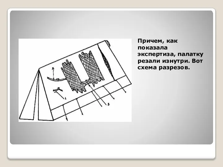 Причем, как показала экспертиза, палатку резали изнутри. Вот схема разрезов.