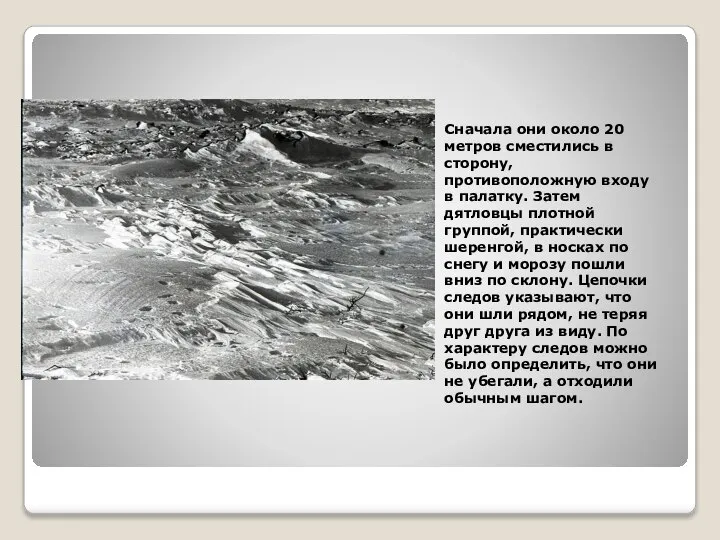 Сначала они около 20 метров сместились в сторону, противоположную входу в палатку.