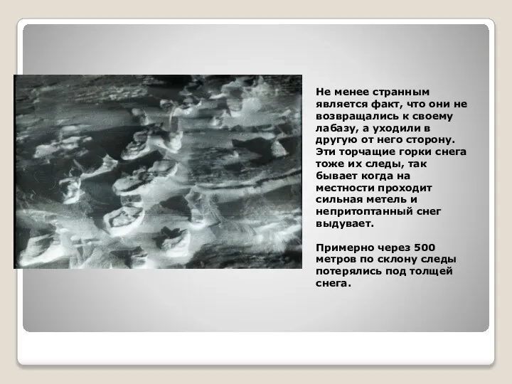 Не менее странным является факт, что они не возвращались к своему лабазу,