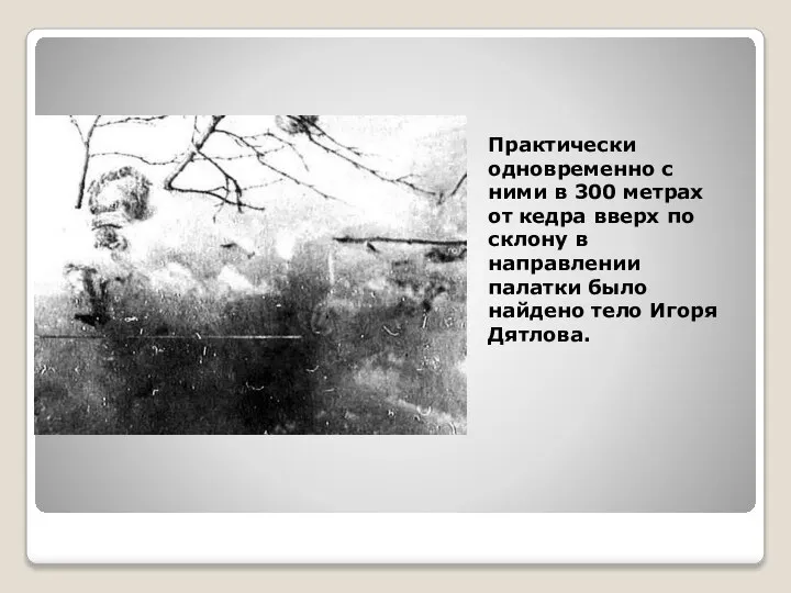 Практически одновременно с ними в 300 метрах от кедра вверх по склону