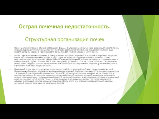 Острая почечная недостаточность. Структурная организация почек Почки у млекопитающих обычно бобовидной формы.