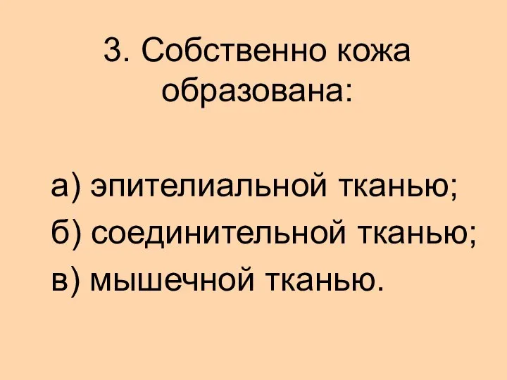 3. Собственно кожа образована: а) эпителиальной тканью; б) соединительной тканью; в) мышечной тканью.