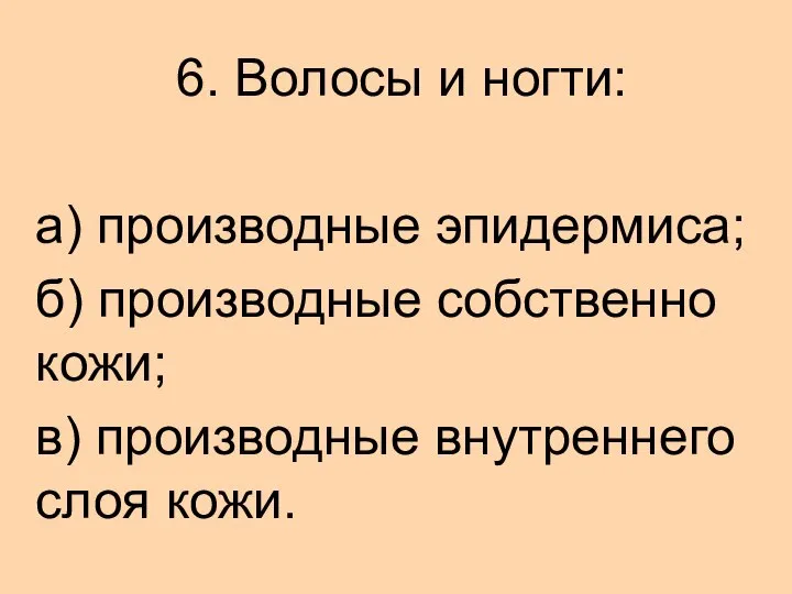 6. Волосы и ногти: а) производные эпидермиса; б) производные собственно кожи; в) производные внутреннего слоя кожи.