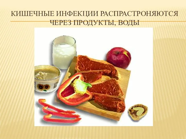 КИШЕЧНЫЕ ИНФЕКЦИИ РАСПРАСТРОНЯЮТСЯ ЧЕРЕЗ ПРОДУКТЫ, ВОДЫ