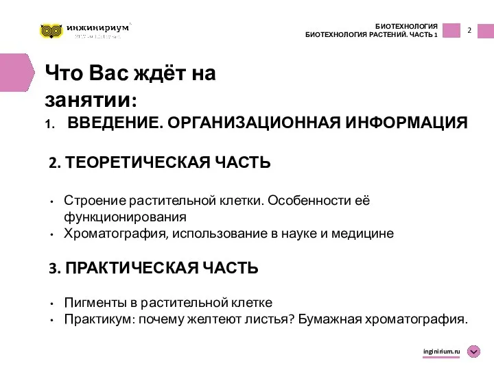 2 Что Вас ждёт на занятии: ВВЕДЕНИЕ. ОРГАНИЗАЦИОННАЯ ИНФОРМАЦИЯ 2. ТЕОРЕТИЧЕСКАЯ ЧАСТЬ