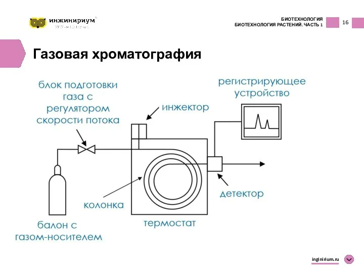 16 БИОТЕХНОЛОГИЯ БИОТЕХНОЛОГИЯ РАСТЕНИЙ. ЧАСТЬ 1 inginirium.ru Газовая хроматография