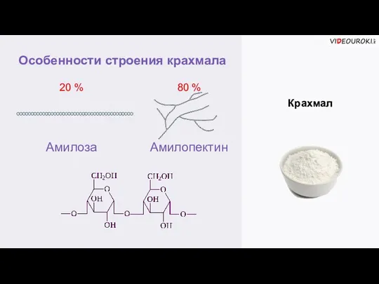 Особенности строения крахмала Амилоза 20 % Амилопектин 80 % Крахмал