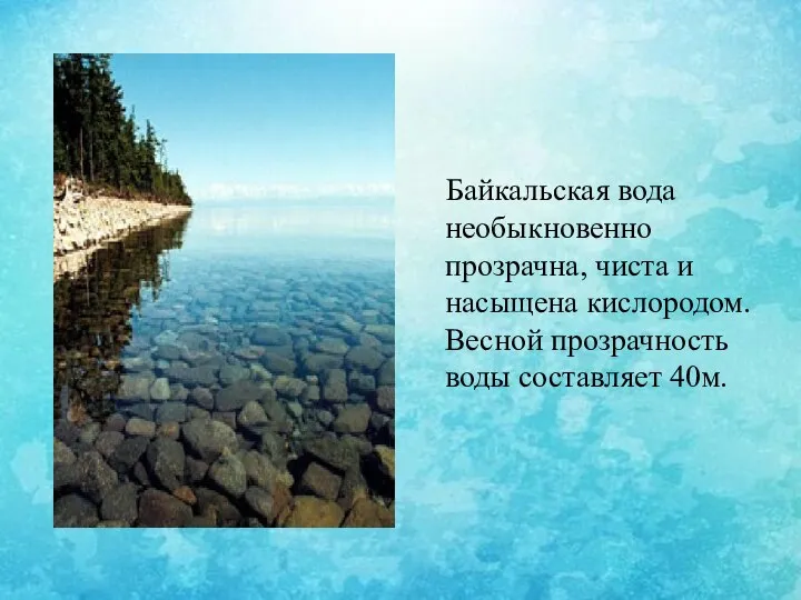 Байкальская вода необыкновенно прозрачна, чиста и насыщена кислородом. Весной прозрачность воды составляет 40м.