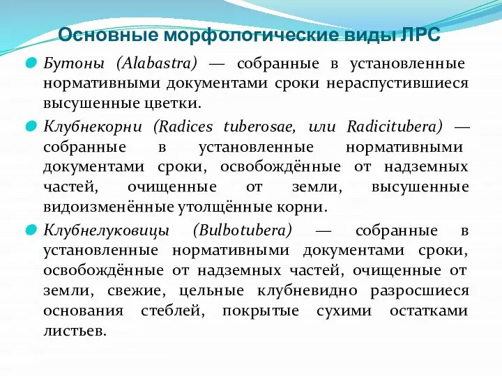 Основные морфологические виды ЛРС Бутоны (Alabastra) — собранные в установленные нормативными документами