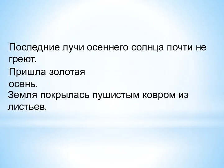 Последние лучи осеннего солнца почти не греют. Пришла золотая осень. Земля покрылась пушистым ковром из листьев.