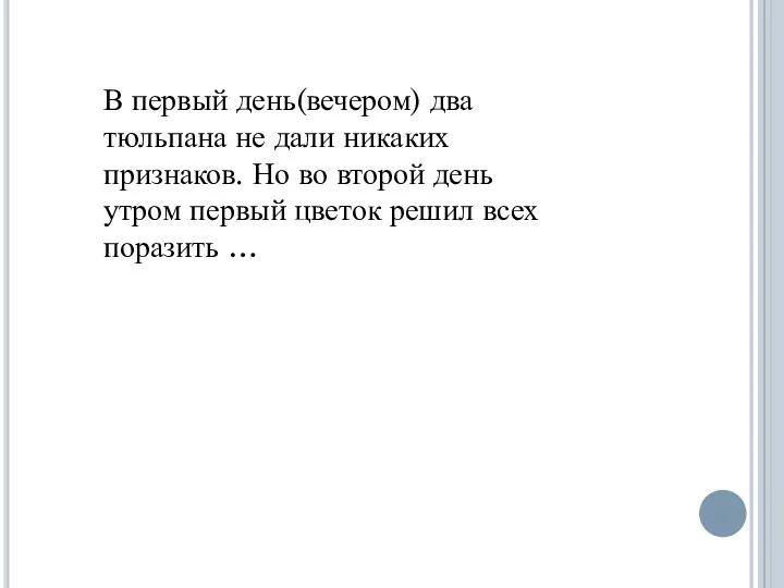 В первый день(вечером) два тюльпана не дали никаких признаков. Но во второй