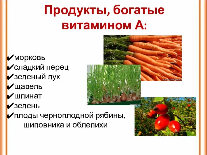 Продукты, богатые витамином А: морковь сладкий перец зеленый лук щавель шпинат зелень