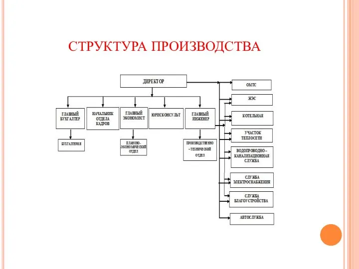 СТРУКТУРА ПРОИЗВОДСТВА