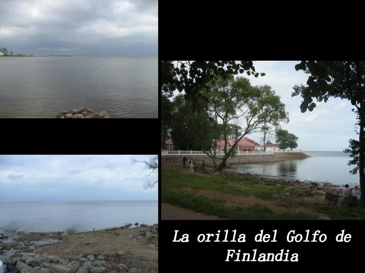 La orilla del Golfo de Finlandia