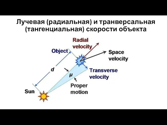 Лучевая (радиальная) и транверсальная (тангенциальная) скорости объекта