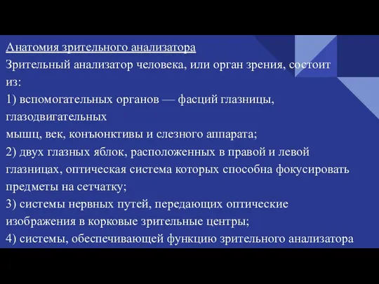 Анатомия зрительного анализатора Зрительный анализатор человека, или орган зрения, состоит из: 1)