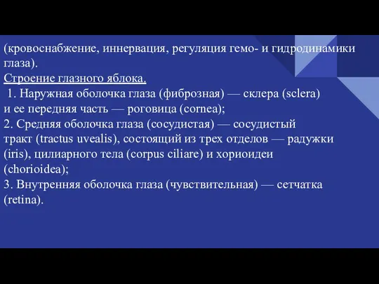 (кровоснабжение, иннервация, регуляция гемо- и гидродинамики глаза). Строение глазного яблока. 1. Наружная