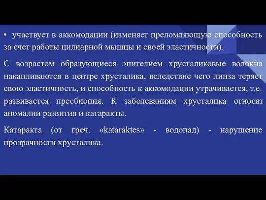 • участвует в аккомодации (изменяет преломляющую способность за счет работы цилиарной мышцы