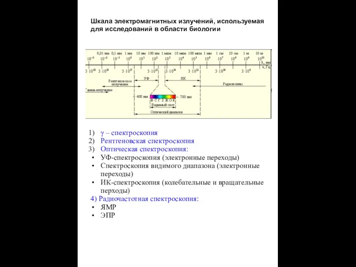 Шкала электромагнитных излучений, используемая для исследований в области биологии γ – спектроскопия