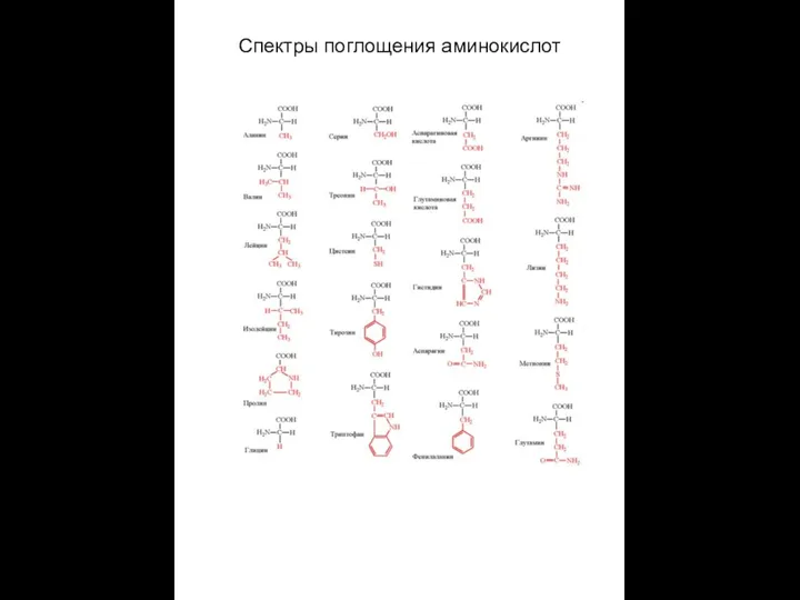 Спектры поглощения аминокислот