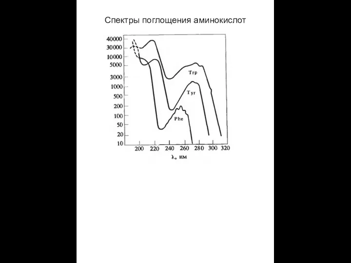 Спектры поглощения аминокислот